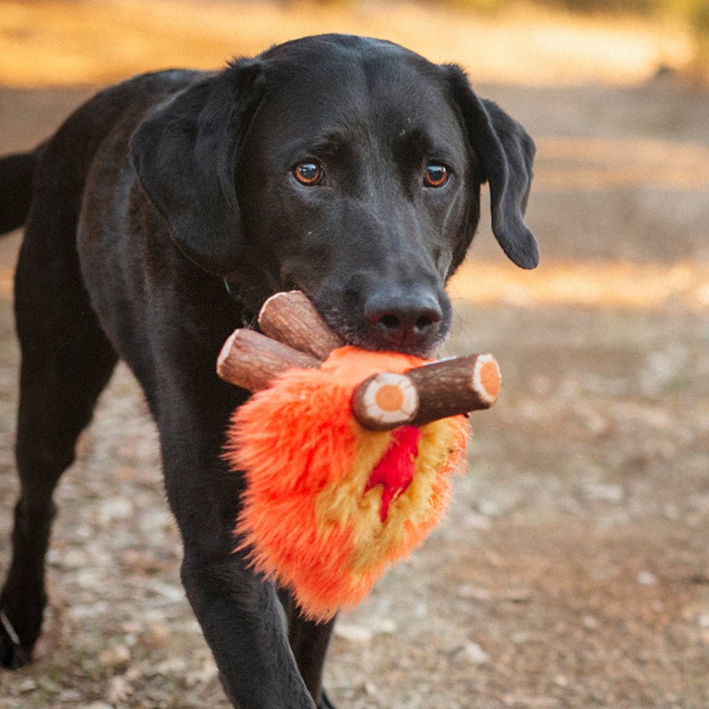 Cozy Camp Fire Plush Dog Toy    at Boston General Store