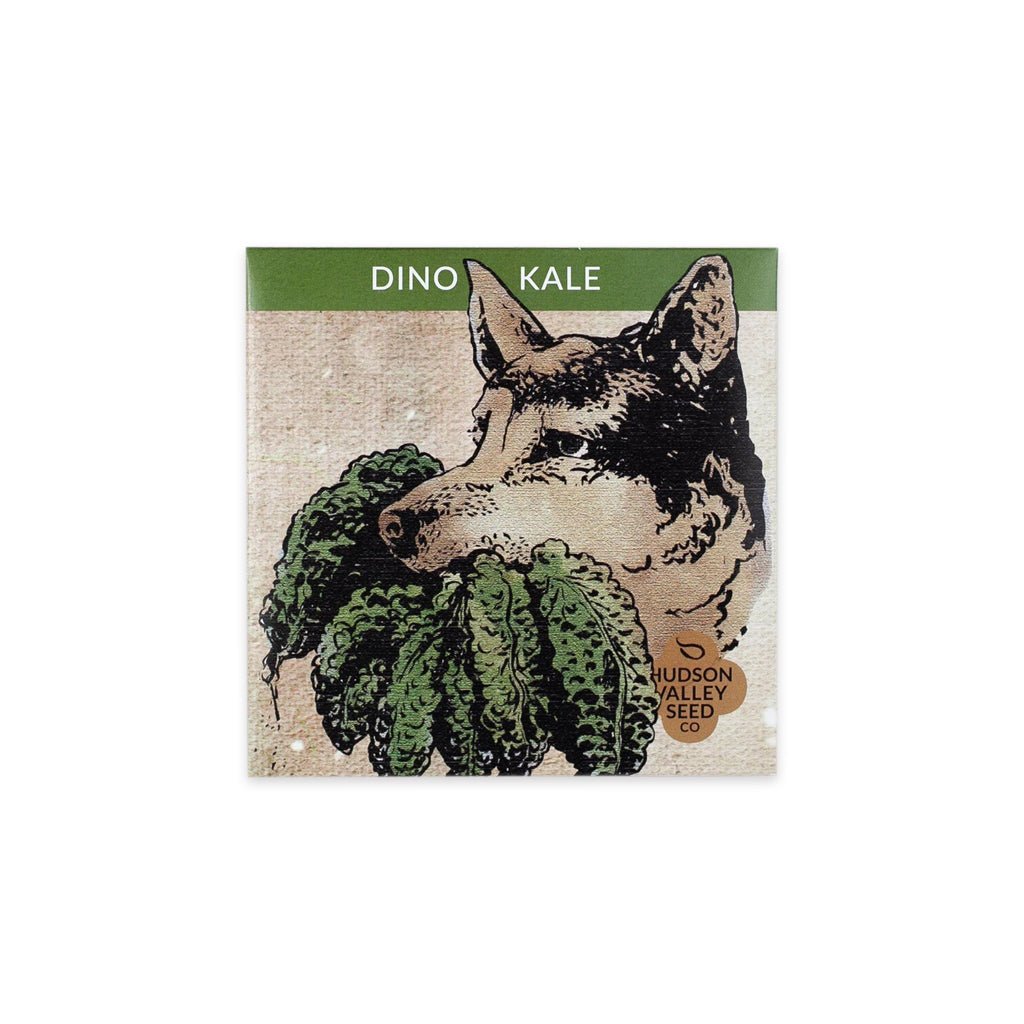 Dino Kale    at Boston General Store