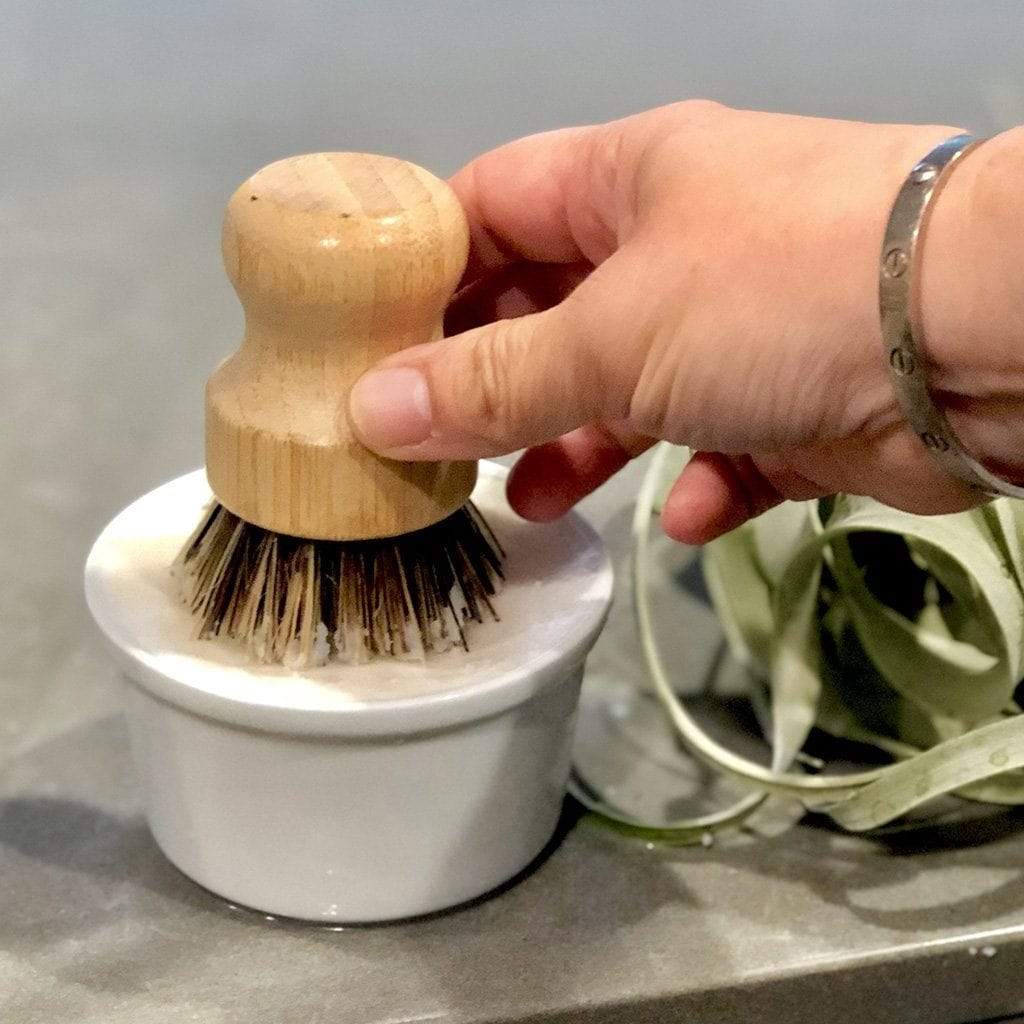 Dish Soap in White Ceramic Bowl Boston General Store