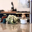 Dish Soap in White Ceramic Bowl Boston General Store