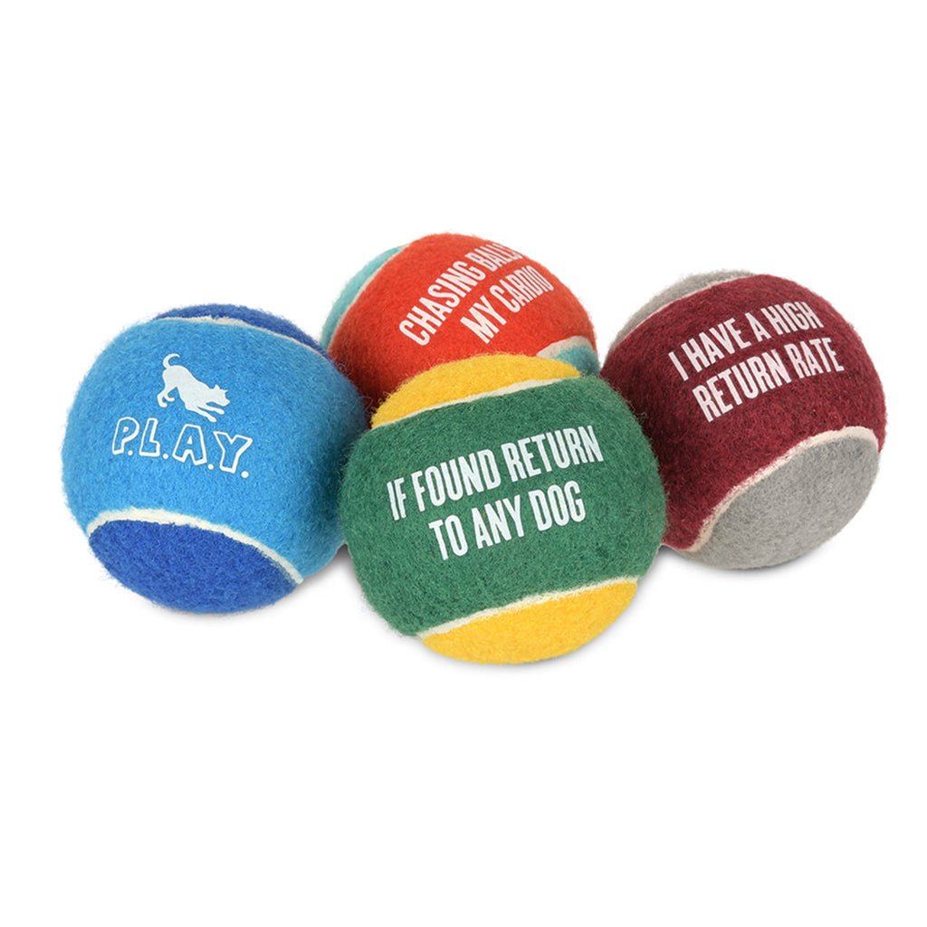 Dog Tennis Ball 4-Pack    at Boston General Store