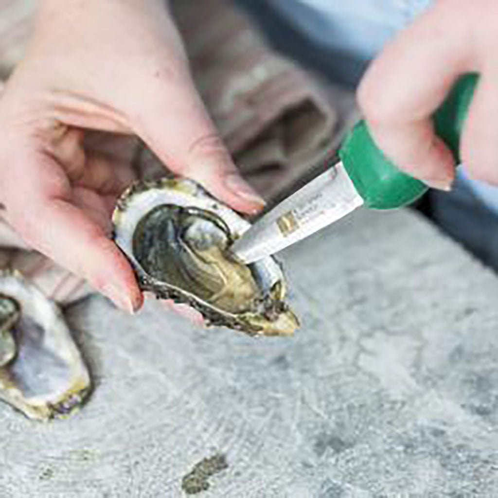 Duxbury Shucker with Recycled Handle    at Boston General Store