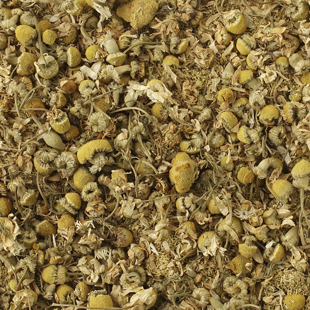 Egyptian Chamomile Earth Apple Flowers Tea Boston General Store