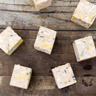 Gardener's Hand Soap Boston General Store