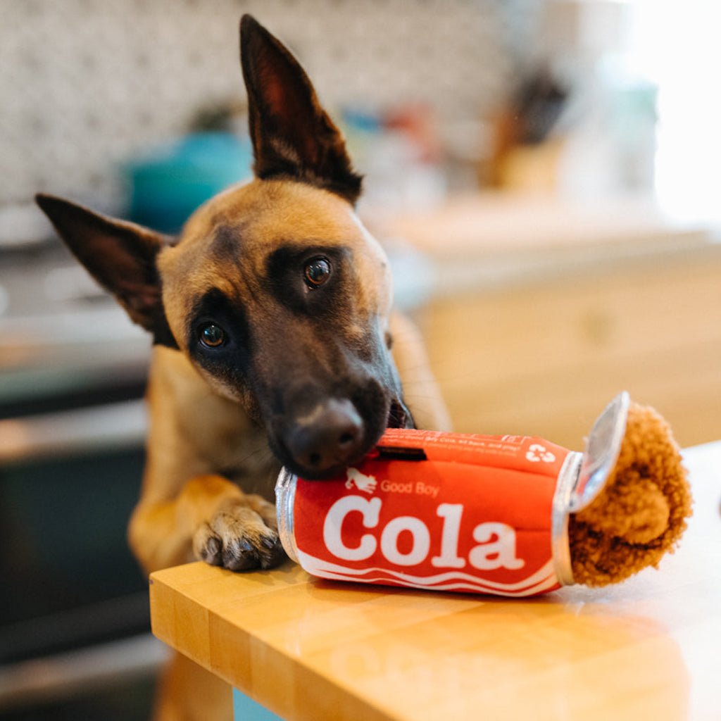 Good Boy Cola Plush Dog Toy    at Boston General Store