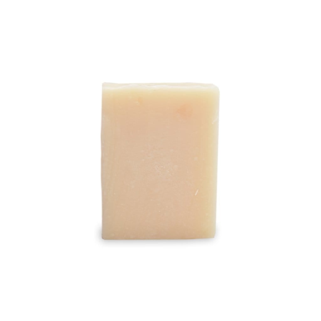 Hand Soap Paste    at Boston General Store
