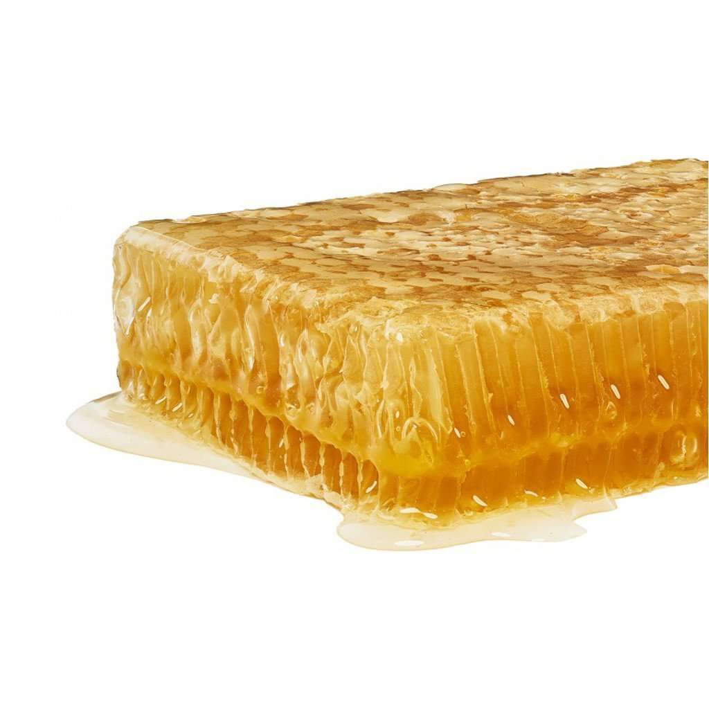 Honeycomb - Large    at Boston General Store