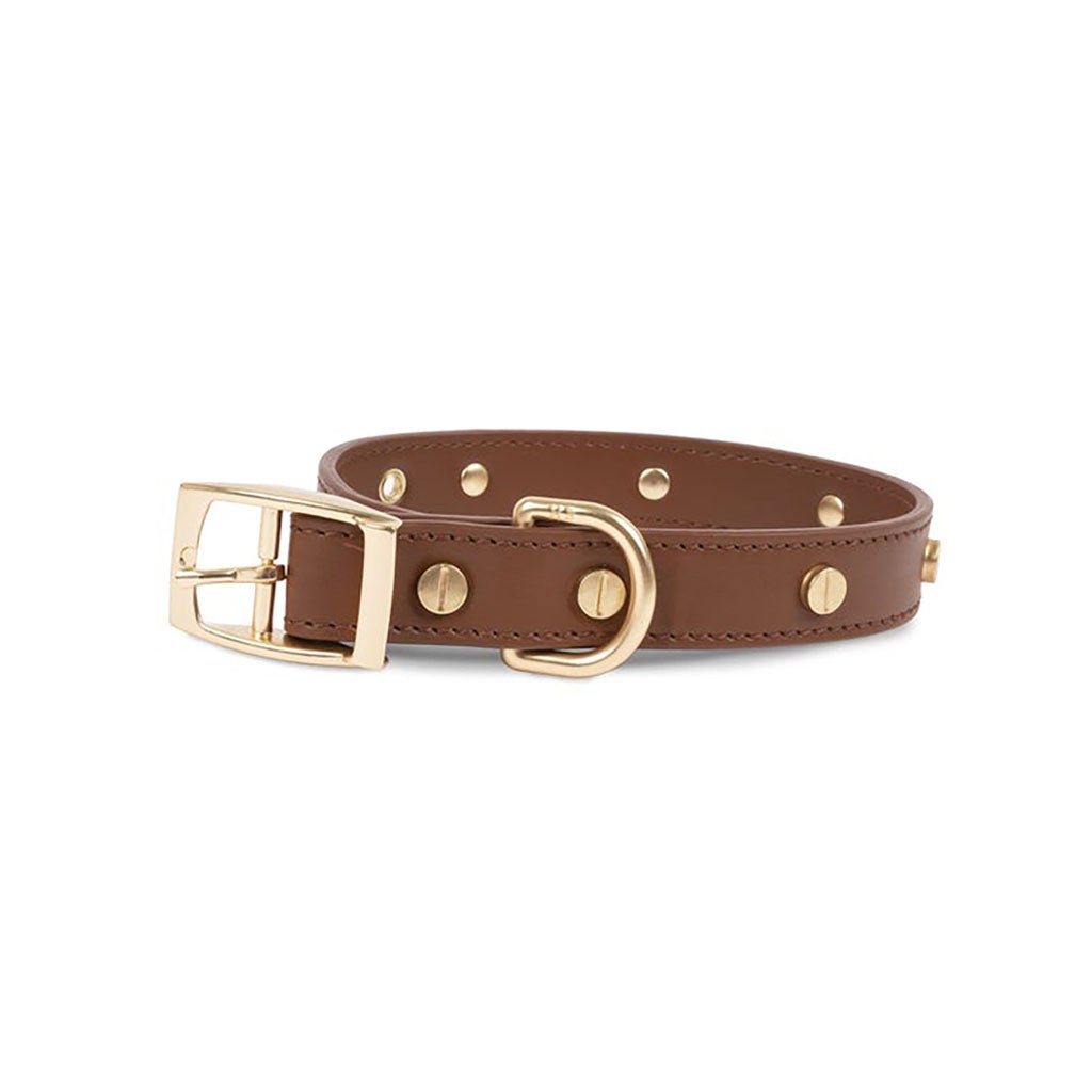 Leather Collar Medium   at Boston General Store