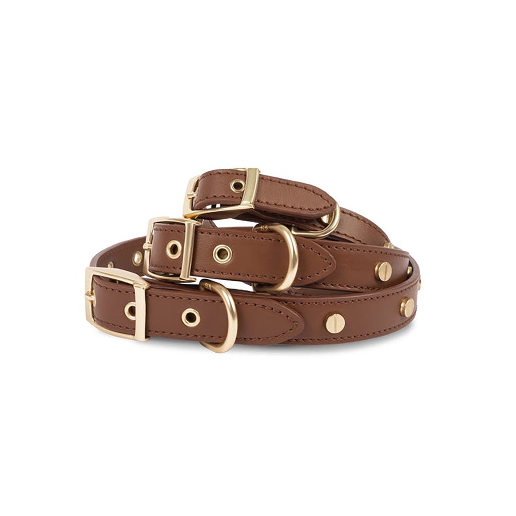 Leather Collar    at Boston General Store