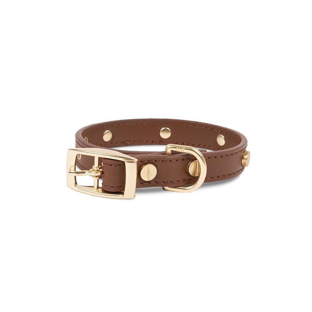 Leather Collar Small   at Boston General Store