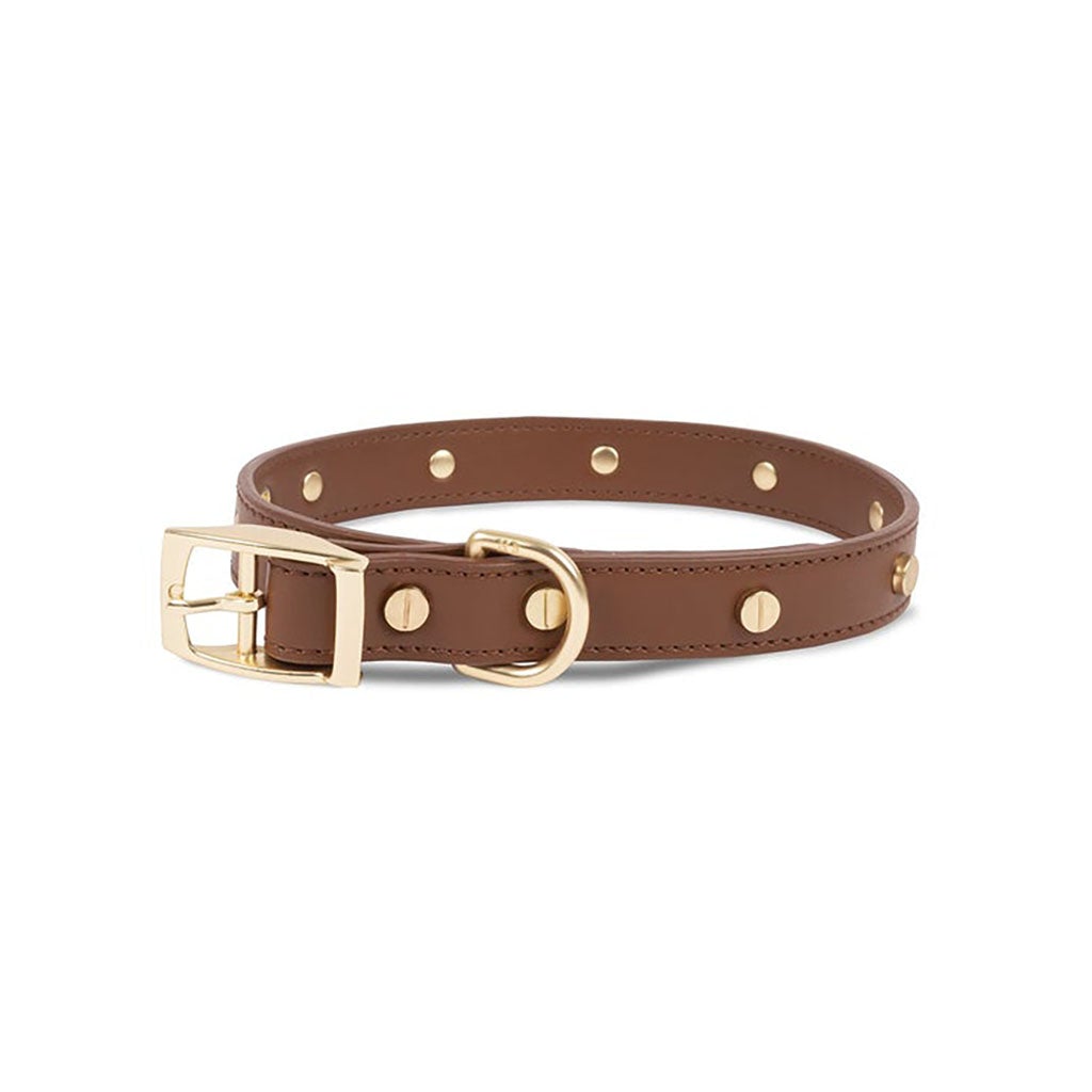 Leather Collar Large   at Boston General Store
