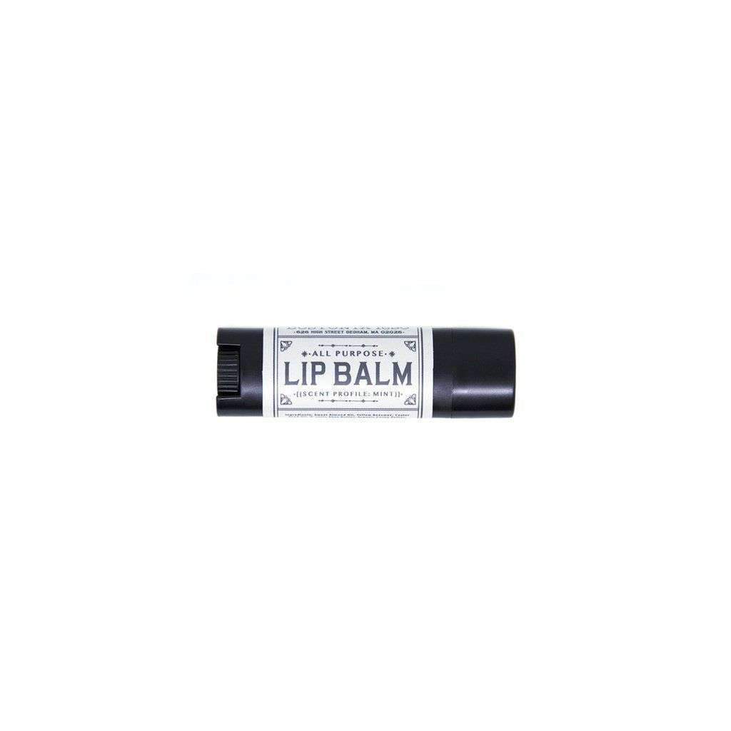 Lip Balm Mint   at Boston General Store