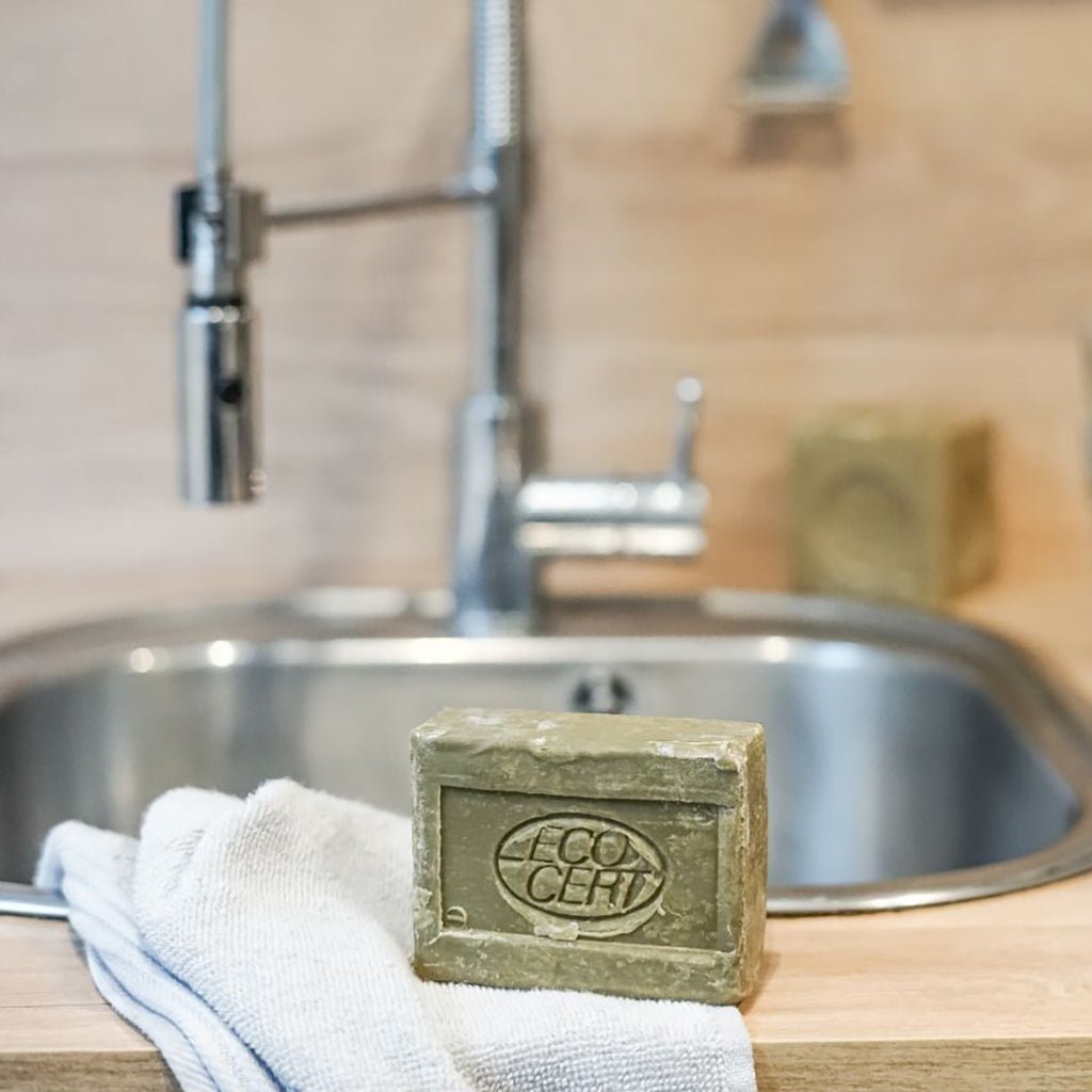 Marseille Dish Soap with Aloe Vera Boston General Store