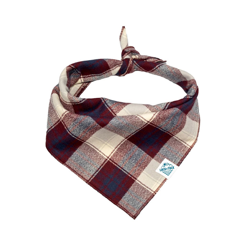 Moe Dog Bandana    at Boston General Store