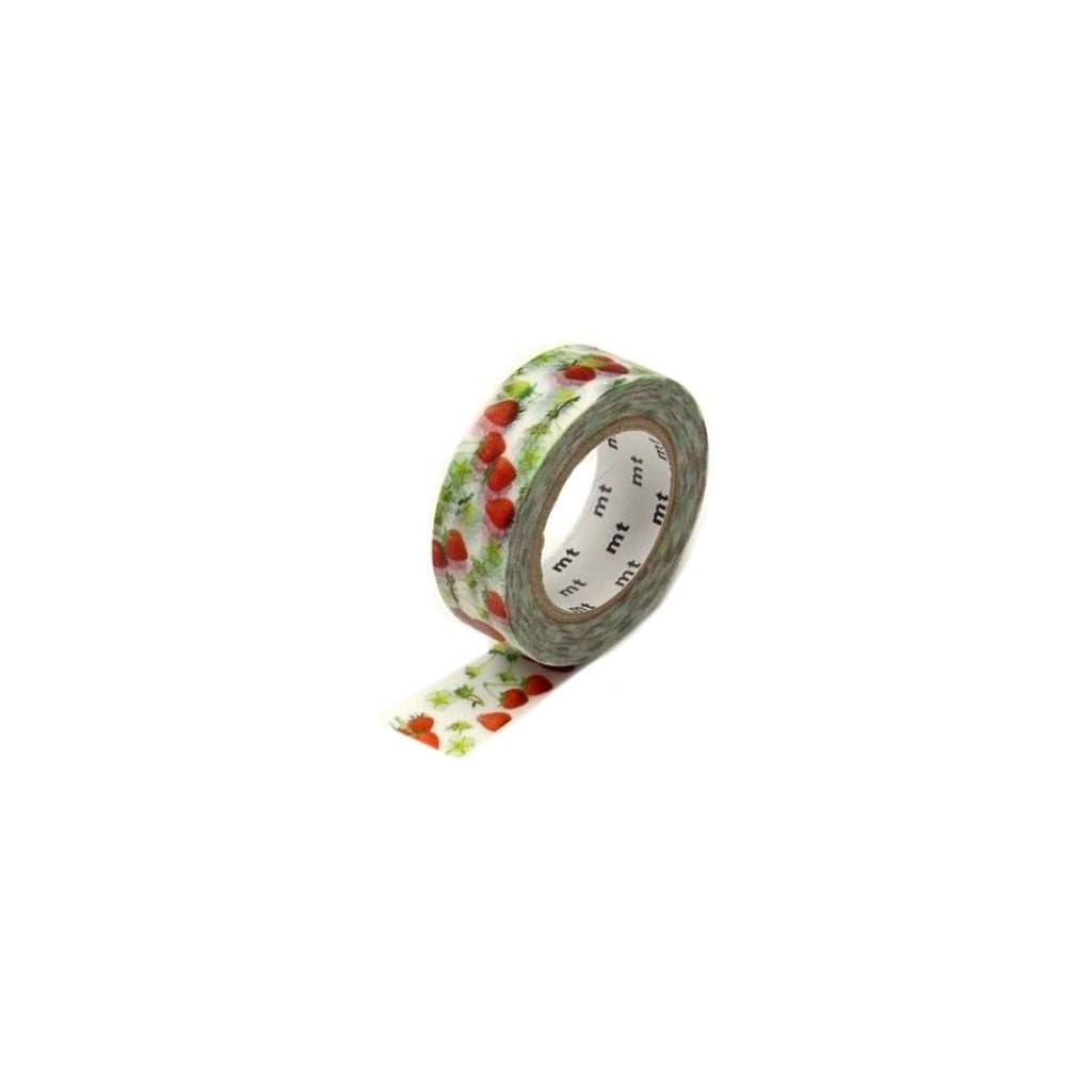 MT EX Series Washi Tape Boston General Store