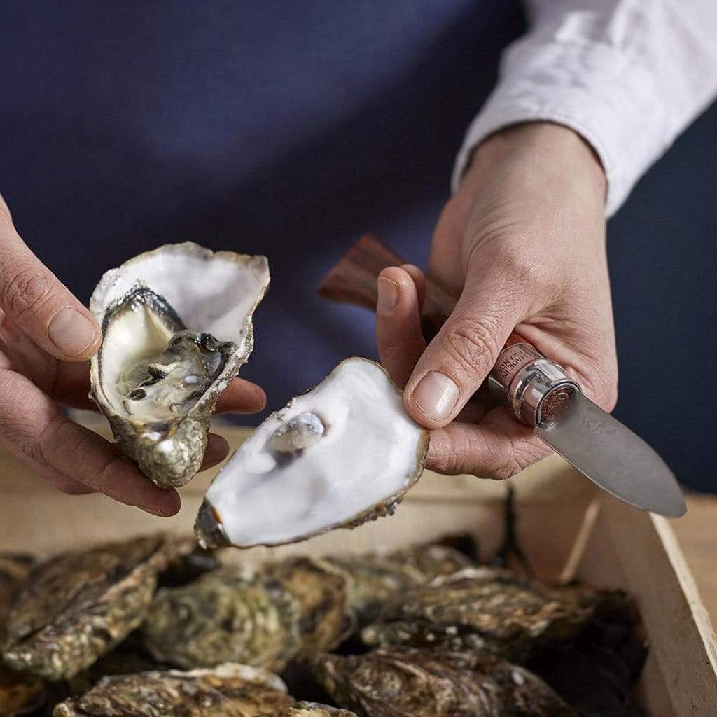 No. 9 Oyster and Shellfish Knife    at Boston General Store