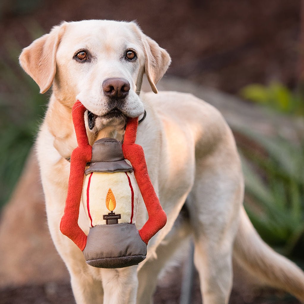 Pack Leader Lantern Plush Dog Toy    at Boston General Store