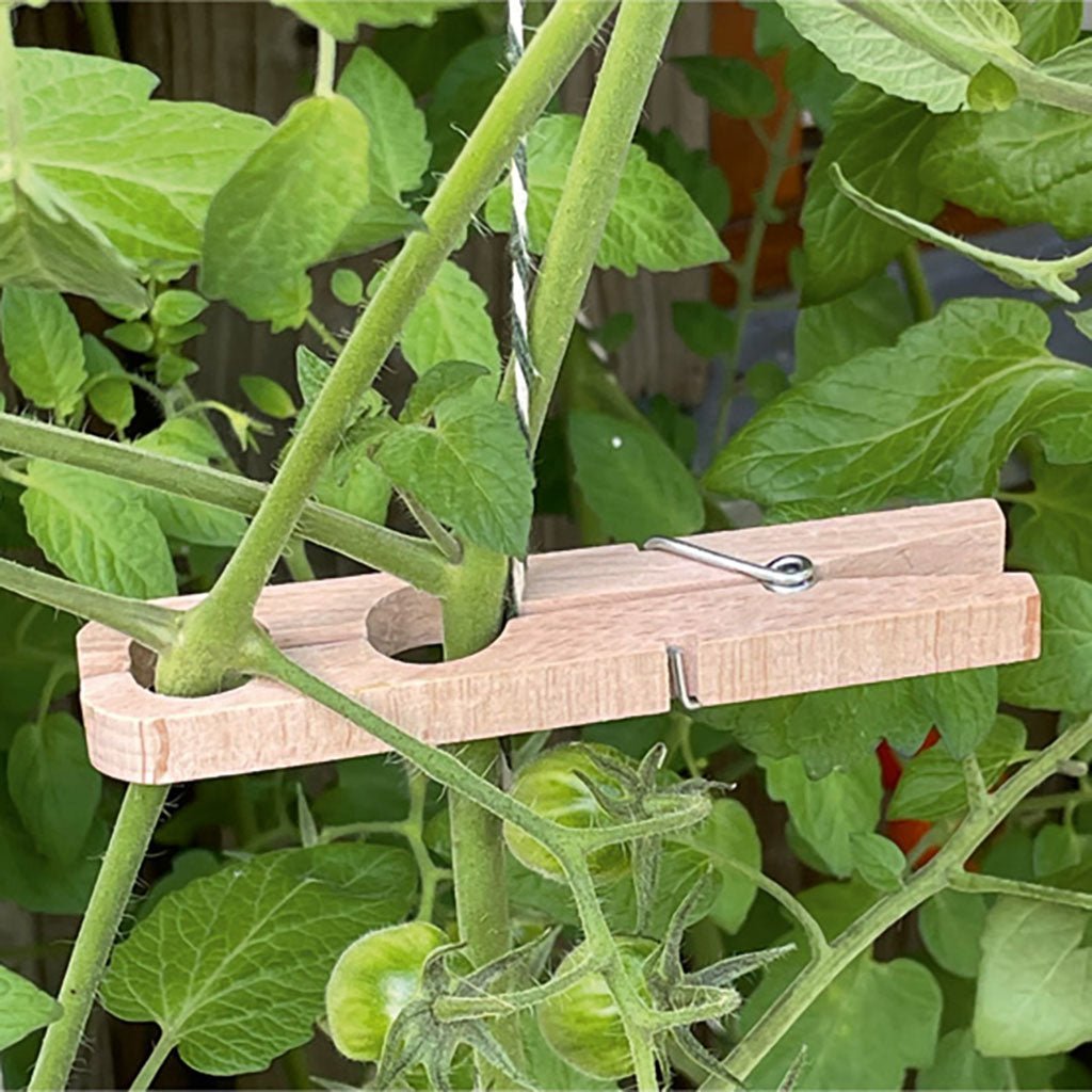 Planting Clamps Boston General Store