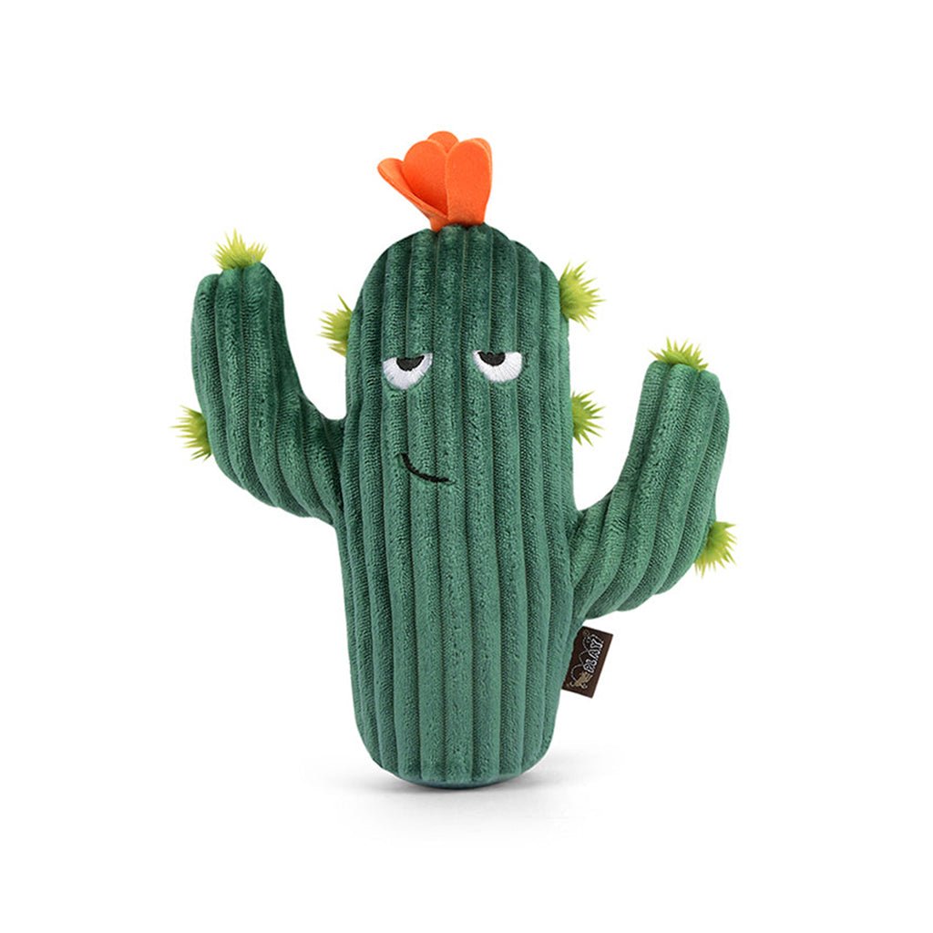 Prickly Pup Cactus Plush Dog Toy    at Boston General Store