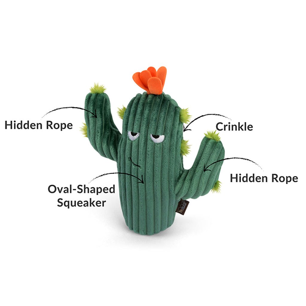 Prickly Pup Cactus Plush Dog Toy    at Boston General Store