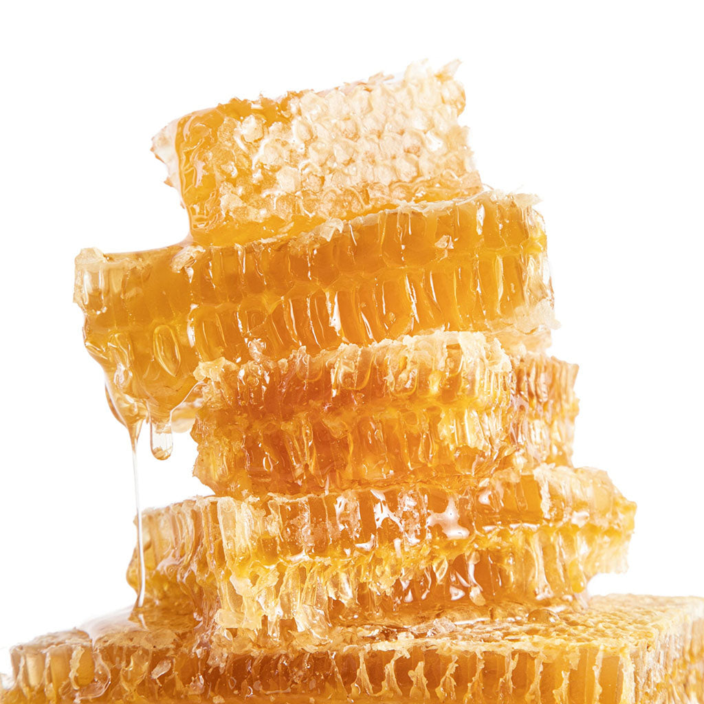 Honeycomb - Large    at Boston General Store