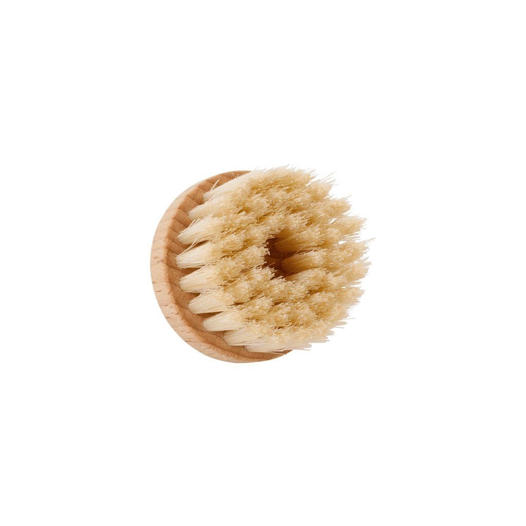 https://www.bostongeneralstore.com/cdn/shop/products/round-face-brush-251085_1200x.jpg?v=1642102170