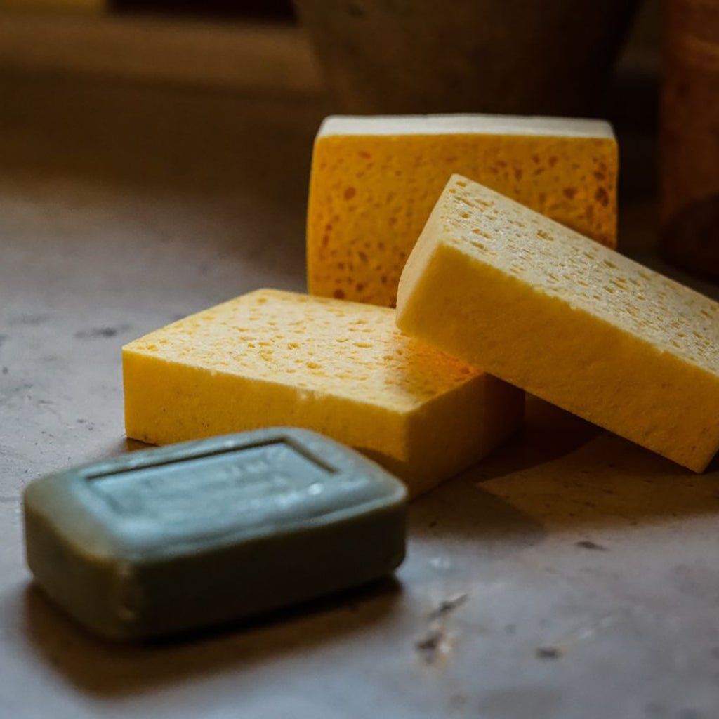 Set of 3 Biodegradable Sponges Boston General Store