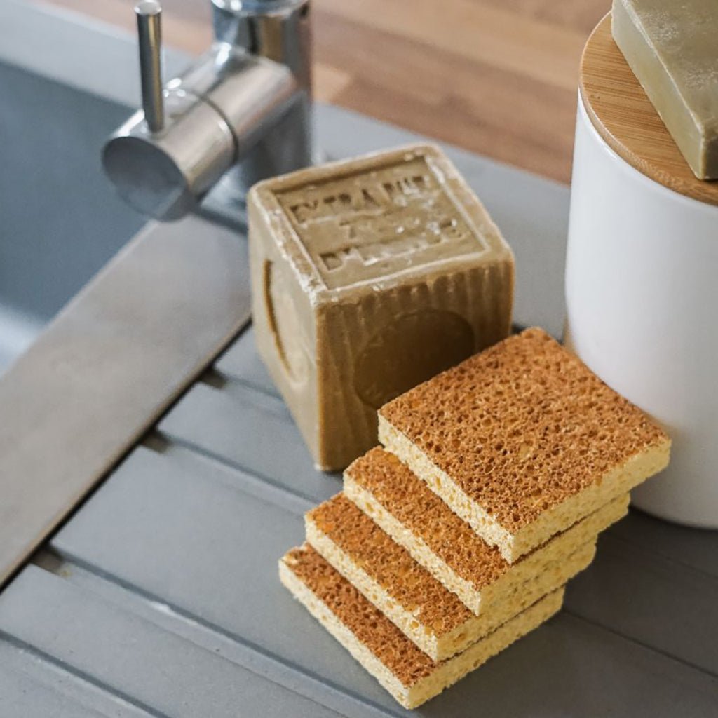Set of 4 Sponges with Apricot Kernel    at Boston General Store