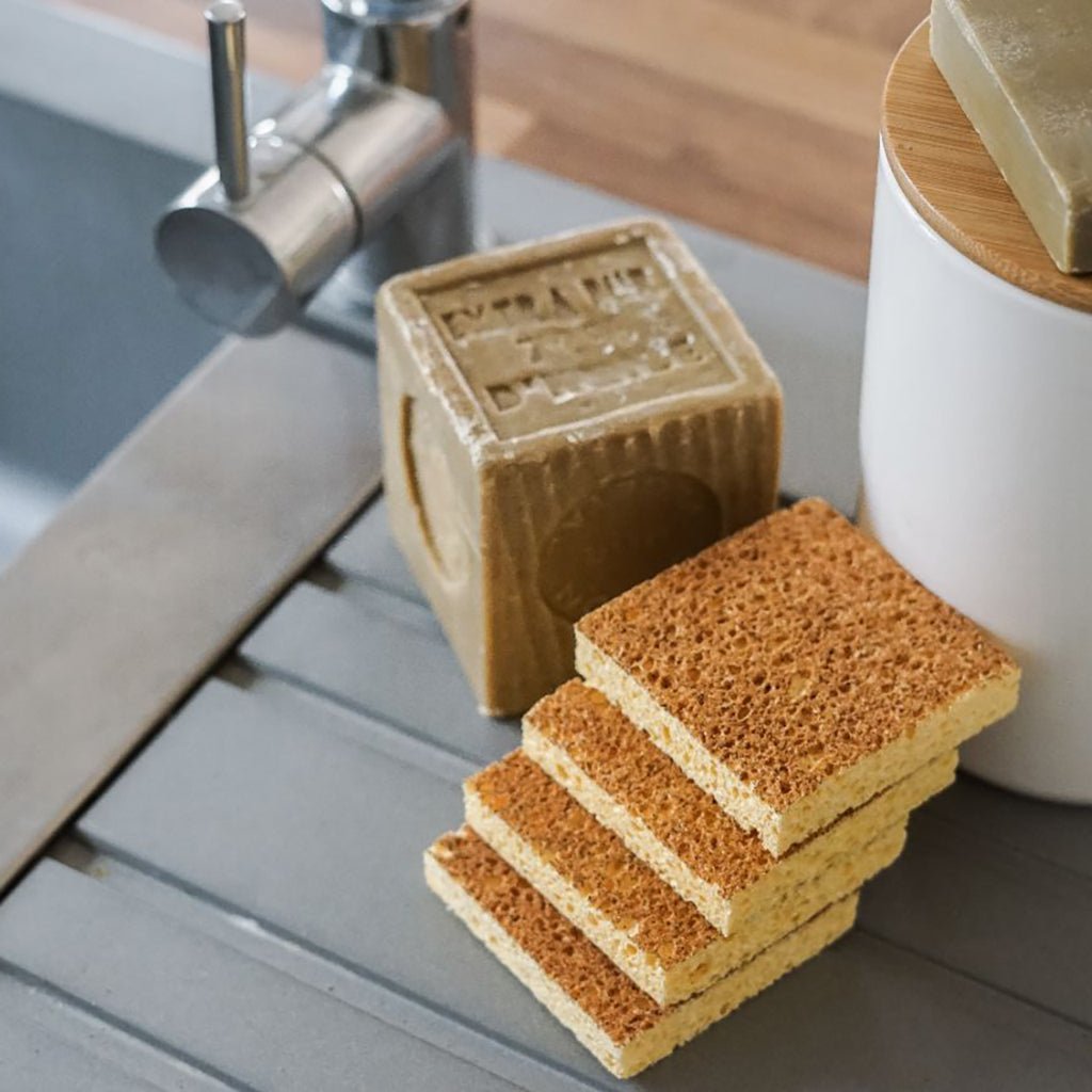Set of 4 Sponges with Apricot Kernel Boston General Store