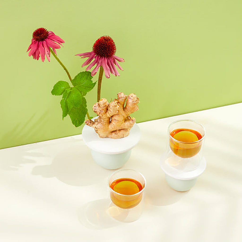 Soothe Sayer, No. 15    at Boston General Store