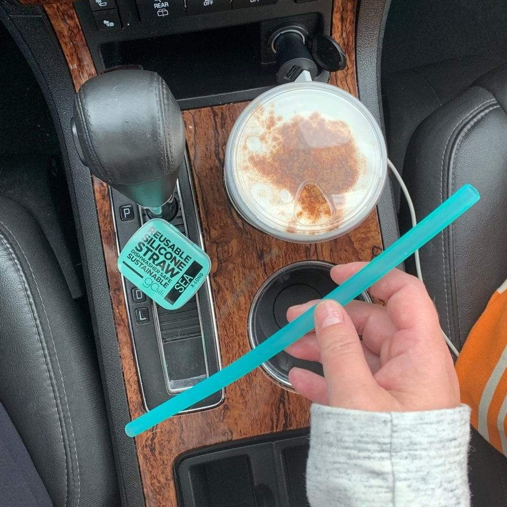 Travel Silicone Straw    at Boston General Store