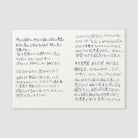 Traveler's Passport Notebook Refill Lightweight Paper - P005 Boston General Store