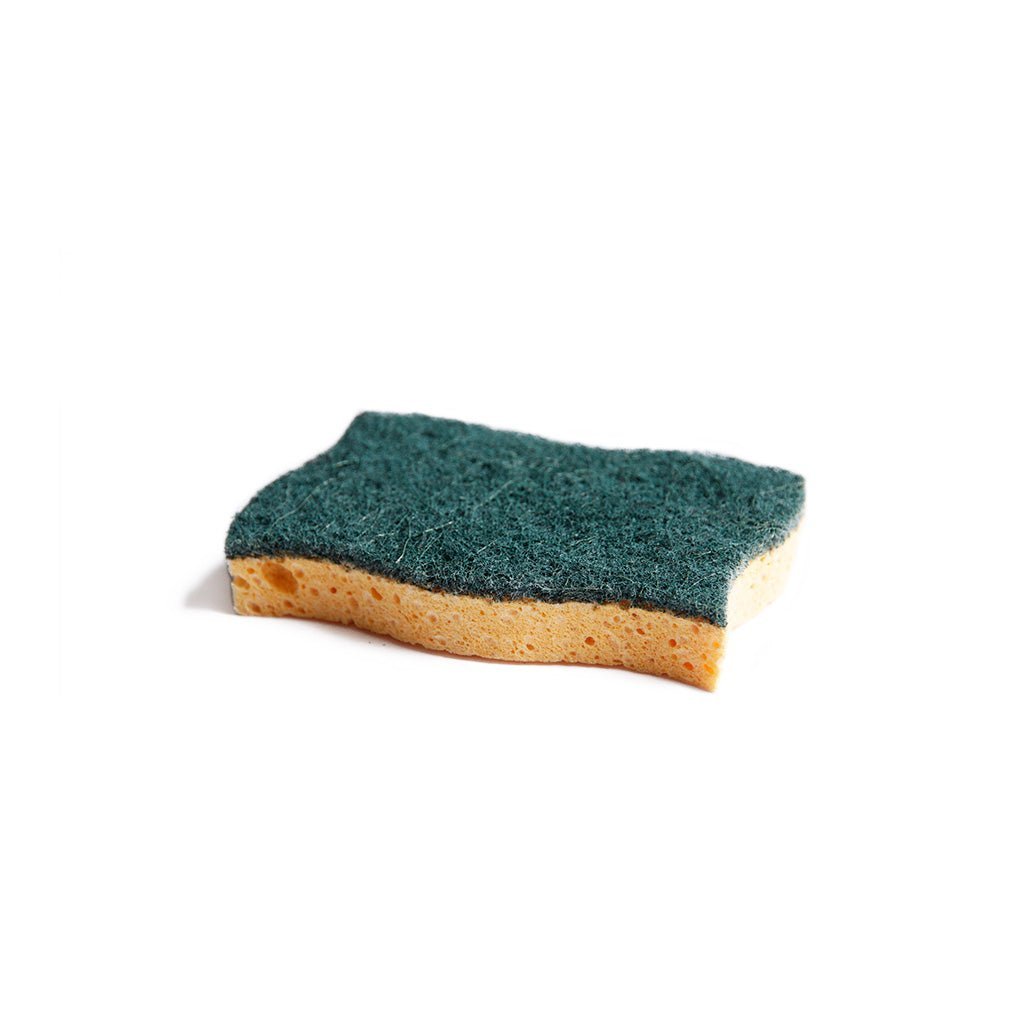 Vegetable - Based Scrubbing Sponge Boston General Store