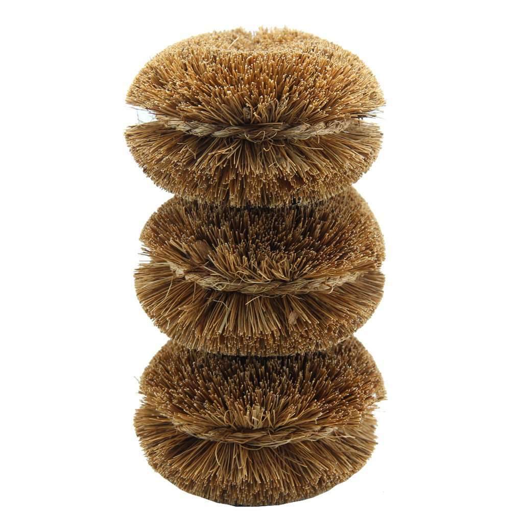 Vegetable Brush, Coconut Fiber    at Boston General Store