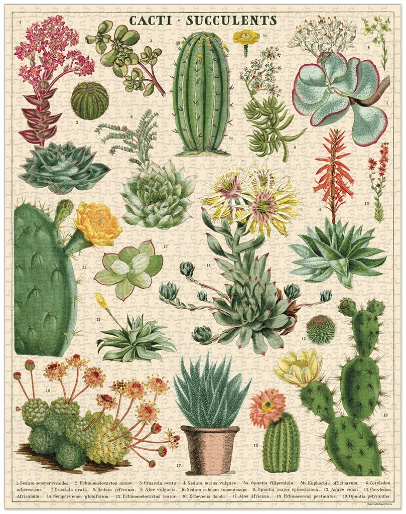 Vintage Themed Puzzles Cacti + Succulents   at Boston General Store