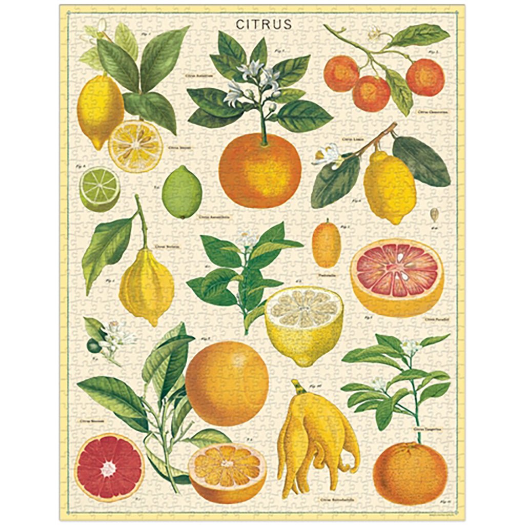 Vintage Themed Puzzles Citrus   at Boston General Store
