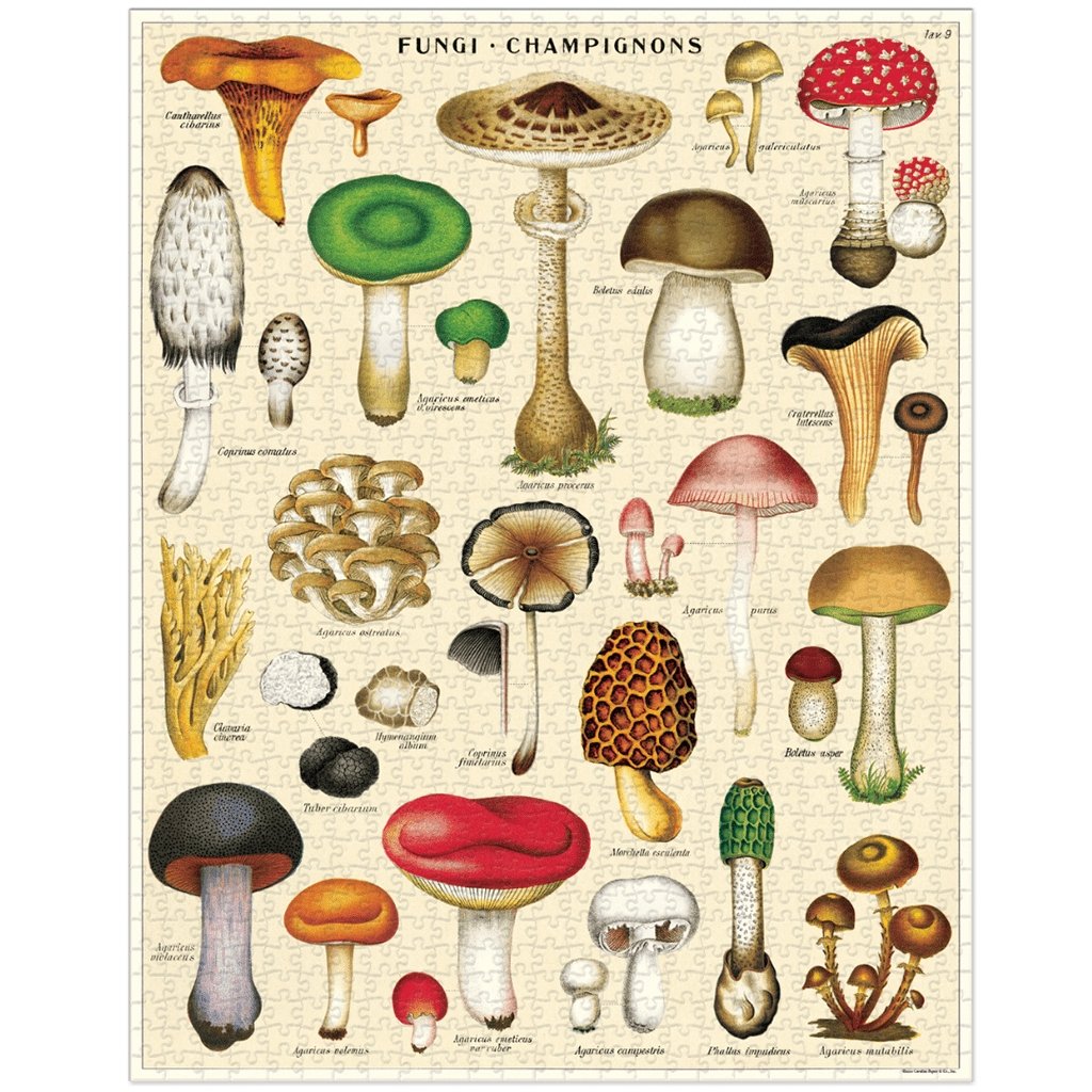 Vintage Themed Puzzles Mushrooms   at Boston General Store