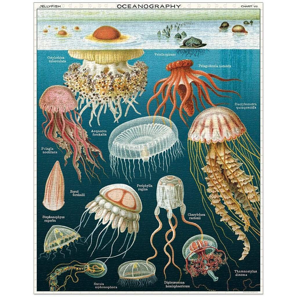 Vintage Themed Puzzles Jellyfish   at Boston General Store